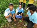 โครงการเพาะกล้าจิตอาสา ปลูกป่าเฉลิมพระเกียรติ์